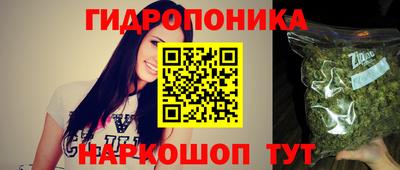 тгк Будённовск
