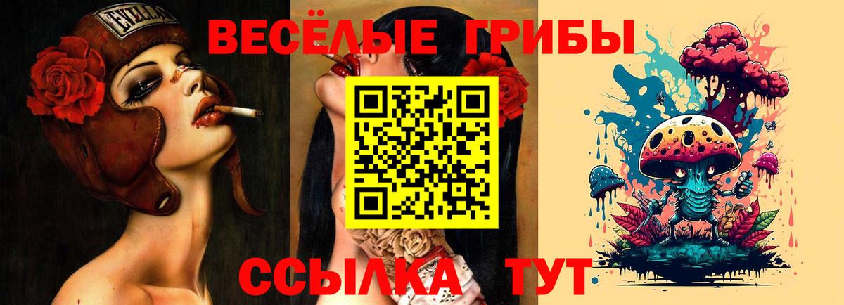 Семёнов  Галлюциногенные грибы прущие грибы  где найти наркотики  Вход с VPN  Галлюциногенные грибы Cubensis 